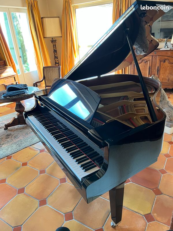 Piano à queue 1
